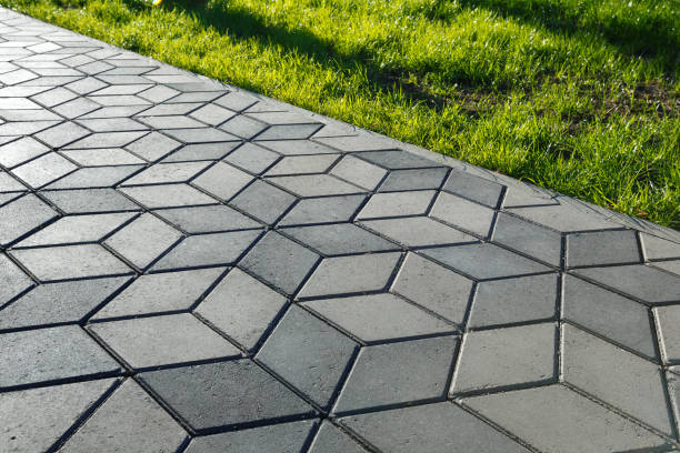 Best Local Driveway Pavers  in Swansea, IL